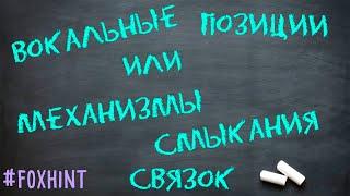 Как петь правильно: микст, фальцет, грудной (Вокальные позиции) #foxhint