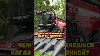За рекордный урожай #сельскоехозяйство