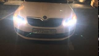 Skoda Octavia A7 (MQB) активация перемигивания ДХО с поворотником и американский вариант ДХО