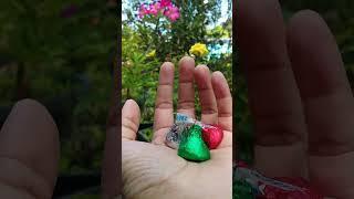 KissesChocolates | Satisfying #shorts #asmr