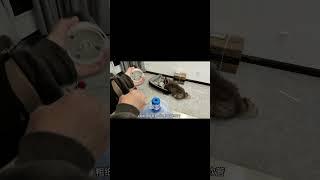 为什么我做的面条像便秘了？【白紙食記】#shorts #挑戰 #巧克力