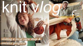 knit vlog  | visiting a local yarn shop in France & sweater progress