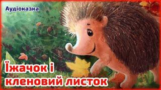 АУДІОКАЗКА НА НІЧ  Їжачок і кленовий листок   Казка українською мовою