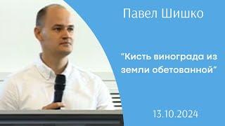 Кисть винограда из земли обетованной | Павел Шишко