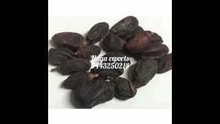 neem dry fruits naga exports 9443250214