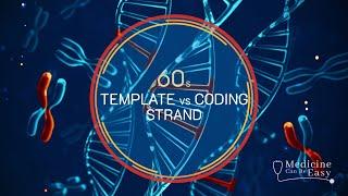 Genetics in 60 seconds: Template vs Coding Strand (Sense vs Anti-sense)