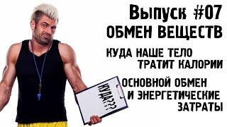 #07. Обмен веществ. Куда наше тело тратит калории. Основной обмен и энергетические затраты.