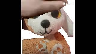 PET RUGGLES!