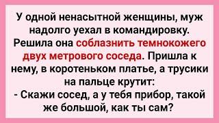 Ненасытная Женщина Решила Соблазнить Темнокожего Двухметрового Соседа! Сборник Свежих Анекдотов!