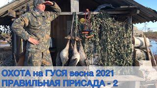 ОХОТА на ГУСЯ весна 2021. ПРАВИЛЬНАЯ ПРИСАДА #2