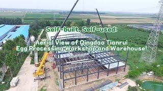 Self-built, Self-used: Aerial View of Qingdao Tianrui Egg Processing Workshop!