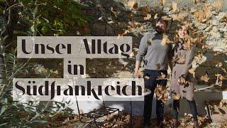 DER HERBST IST DA: ein ganz normaler Vlog | Granatapfelernte, Zimtschnecken & Katzenkram | JELENA