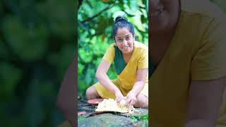 Yummy  Masala Jackfruit Cutting And Eating | कटहल  | පැණි වරකා