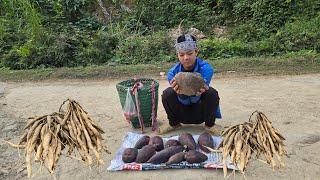 The Orphan Boy, Picking Banana Flowers, Digging Ginseng, The Simple Life of a Boy and Grandma