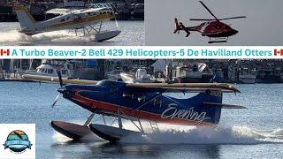 De Havilland Dreams: Aerial Action with 2 Bell 429s, A Turbo Beaver & 5 Otters