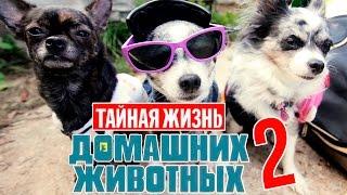 ТАЙНАЯ ЖИЗНЬ ДОМАШНИХ ЖИВОТНЫХ ПО-РУССКИ | 2 СЕРИЯ