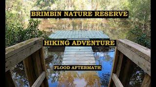 Brimbin Nature Reserve - Hiking Adventure - NSW Flood Aftermath