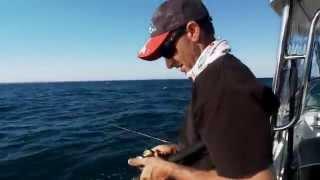 Fishing Edge- Offshore snapper at Lakes Entrance SD