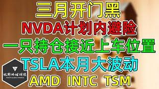 美股 三月开门黑！NVDA计划内避险！一只持仓接近加仓位置！AMD、INTC、TSM！TSLA本月波动较大！