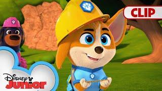 Mayor Bobby Boots  | Pupstruction | @disneyjr​