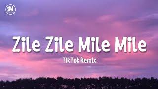 Zile Zile Mile Mile TikTok Remix Song