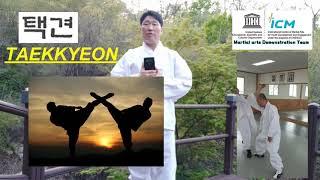 What is TAEKKYEON ?