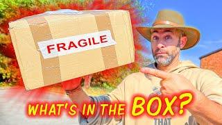 FRAGILE Box Sent to Me! What's Inside?!