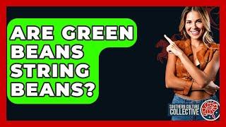 Are Green Beans String Beans? - Southern Culture Collective