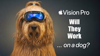 My dog tries Apple Vision Pro...