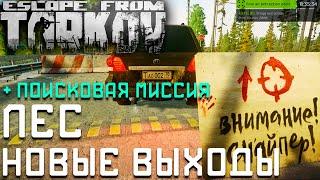 Новые Выходы Карты ЛЕС  + Поисковая Миссия (квест прапора) в Escape From Tarkov 12.9