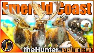 Hunting for Emerald Coast Trophy Deer! | theHunter Call of the Wild