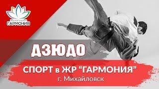 Мастер спорта международного класса Михаил Косяшников о дзюдо в «Гармонии»