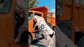 Race Against Time: Rescuing a Calf Buried in Sand!  #cow #animalrescue