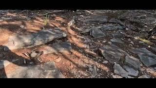 Colorado Bend State Park | 4K POV Hike | San Saba County, Texas | June 2025