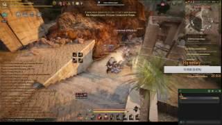 Black Desert P2P, фарм твинком, общение. Не стесняемся задаем вопросы)))