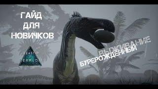 Beasts of Bermuda | Для новичков #1