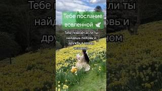 Принимай в комментариях с щедростью, БЛАГО ДАРЯ из любви к СЕБЕ  #любовь #счастье