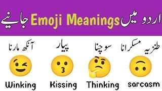 Learn Emoji Meanings in Urdu and English for social media | @amienglish6088