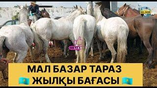 Жылқы базар 22.09.2024 Мал базар Тараз / Mal bazar Taraz