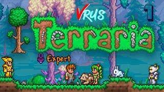 Расчехляем кирки | Terraria | Expert | 1