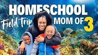 HOMESCHOOLING AS A MOM OF 3 | SDA COUNTRY LIVING