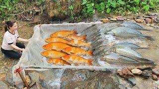 30 Day Video Ana created many different types of fish traps to catch fish. And caught a lot of fish