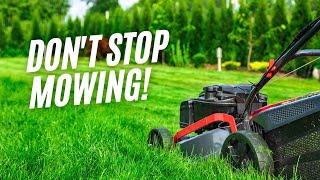 Start Preparing The Lawn For Winter