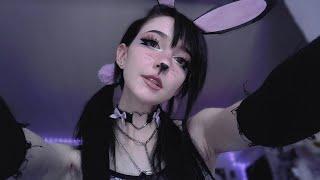 asmr  bunny girl head scratches .*＊