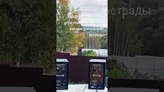 мы не танцуем под минимал/ захардкорила соседей https://www.youtube.com/watch?v=XdcBSX3IeMI