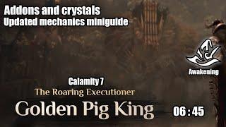 BDO | Calamity 7 Golden Pig King Awake Witch + Updated miniguide