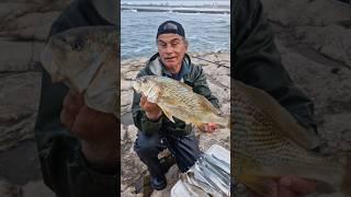 LOOK AT THE VARIETY OF FISHING I CATCHED, JUST A STEP FROM THE CENTER