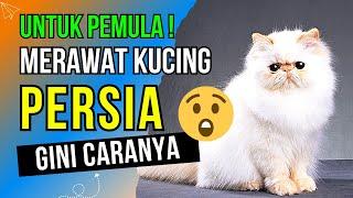 For Beginners Only ️️ 6 Ways to Take Care of Good and Right Persian Cats - Caring for Persian Cats