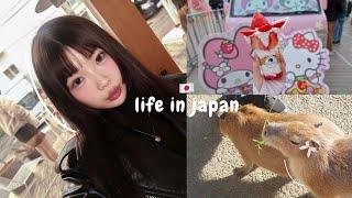 JAPAN VLOG : capybara onsen, strawberry festival, relaxing in an private Ryokan, skiing in Nagano