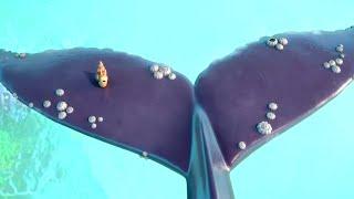 The Snail Sets Sail On The Whales Tail! | Gruffalo World:  Snail & The Whale